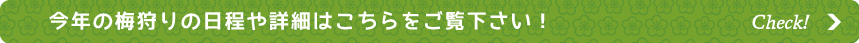 今年の梅狩りの日程や詳細はこちらをご覧下さい!