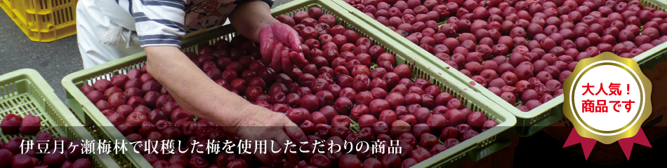伊豆月ヶ瀬梅林で収穫した梅を使用したこだわりの商品