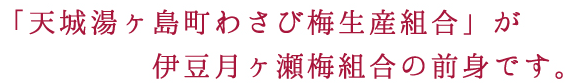 「天城湯ヶ島町わさび梅生産組合」が伊豆月ヶ瀬梅組合の前身です。