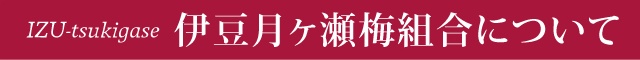 伊豆月ヶ瀬梅組合について