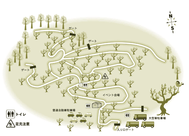 伊豆月ヶ瀬梅林は、6.2ｈａの広々とした梅園です。